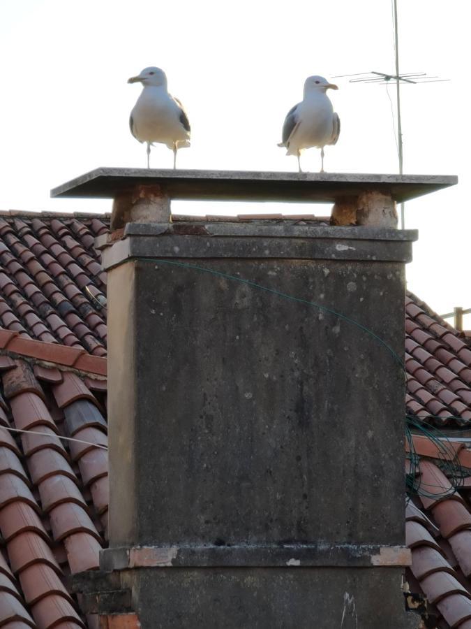 Friendly Venice Suites Eksteriør billede
